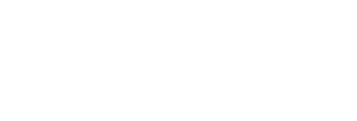 hollywoodbets
